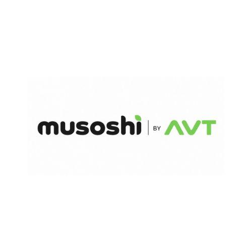 Astra Vehicle Technologies (AVT)